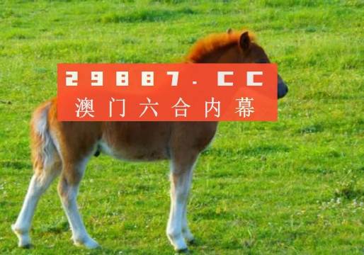 澳門必中一肖一碼準(zhǔn)一肖,開來在家是主人，澳門精準(zhǔn)一肖一碼預(yù)測，家中主人運勢揭秘