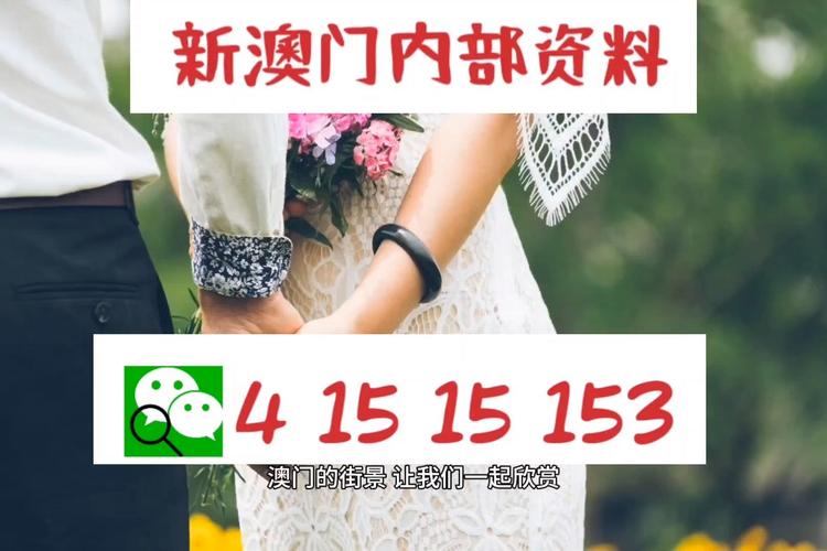 探索澳門，2020年正版資源的免費(fèi)寶藏，澳門探索之旅，2020年正版資源的免費(fèi)寶藏探索