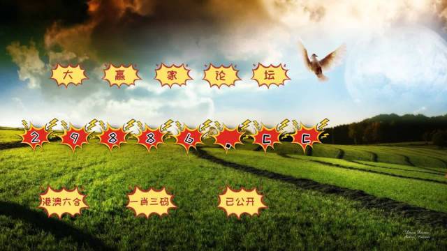 4949澳門今晚上開獎(jiǎng)，澳門今晚開獎(jiǎng)結(jié)果揭曉，4949期待幸運(yùn)降臨