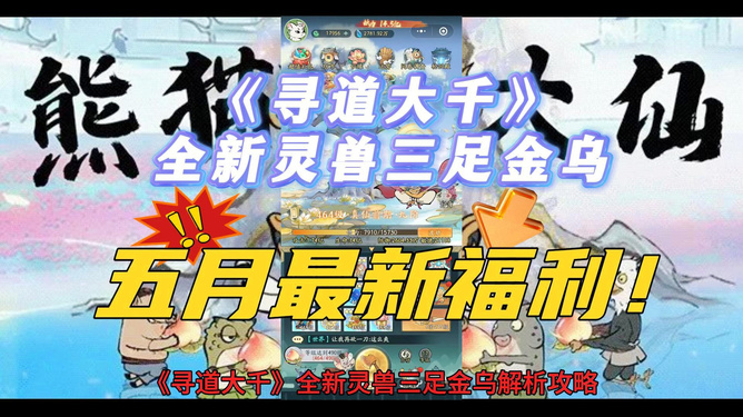 新奧彩天天資料大全最新版，一網(wǎng)打盡所有信息，新奧彩天天資料大全最新版，全面匯集所有最新信息