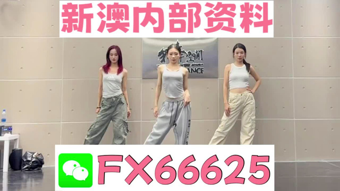 管家婆必出一中一特70期，深度解析與預(yù)測，管家婆必出一中一特70期深度解析與預(yù)測報告