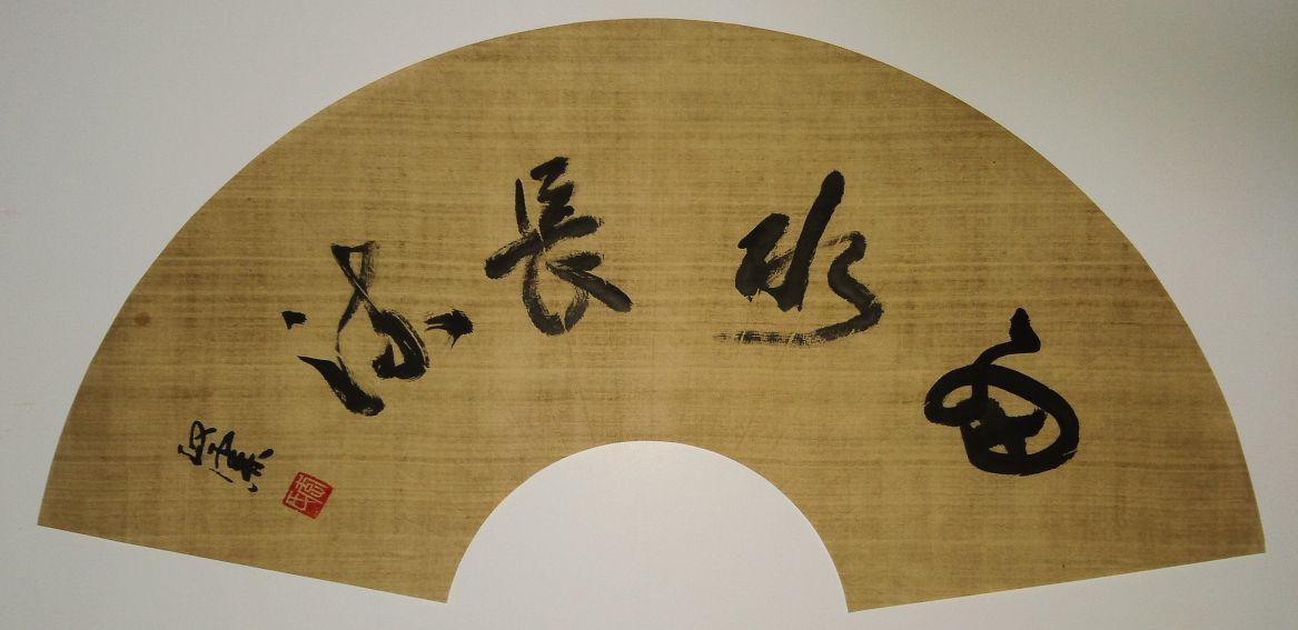 揭秘4肖8碼資料公開，深度解析與全方位解讀，揭秘四肖八碼資料全面公開，深度解析與全方位解讀指南