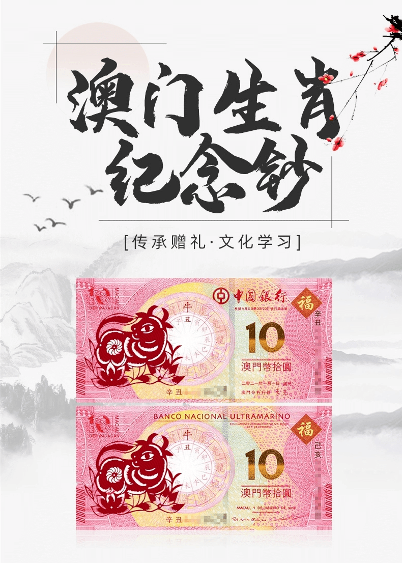 探索澳門論壇，最新生肖協(xié)資料解析與下載指南，澳門論壇深度解析，最新生肖協(xié)資料下載指南