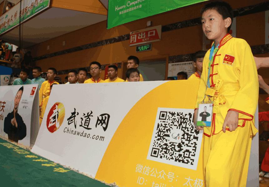 香港免費資料王中王大會解析手冊，免費解析2號篇，香港免費資料王中王大會解析手冊，2號篇詳解