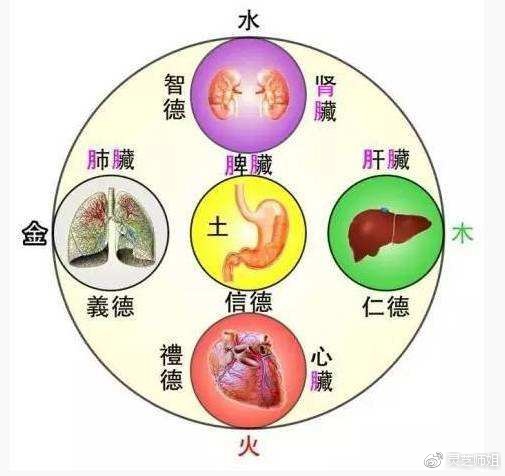 最準(zhǔn)一肖100%中一獎金木水火土五行，最準(zhǔn)一肖，金木水火土五行助力中獎100%