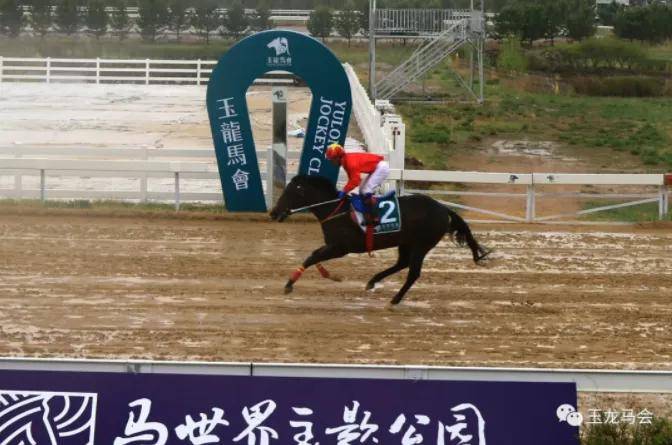 2021年香港賽馬開始了嗎，香港賽馬2021年賽事正式啟動