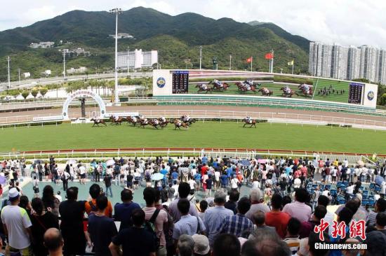 香港資料大全與正版資料2021，一站式了解香港的門戶，香港最新資訊門戶，一站式了解香港資料大全與正版資訊2021