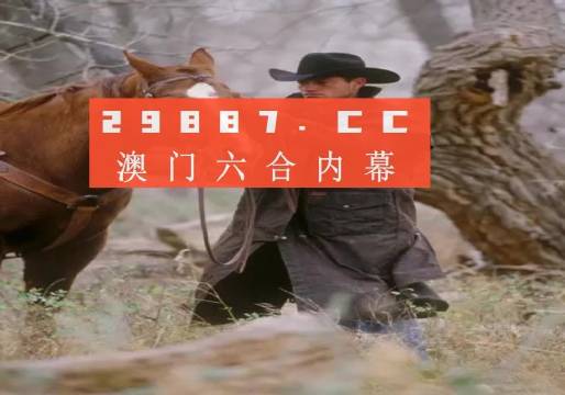 澳門(mén)六開(kāi)彩資料免費(fèi)大全——今天炙手可熱，澳門(mén)六開(kāi)彩資料免費(fèi)大全，今日熱門(mén)之選