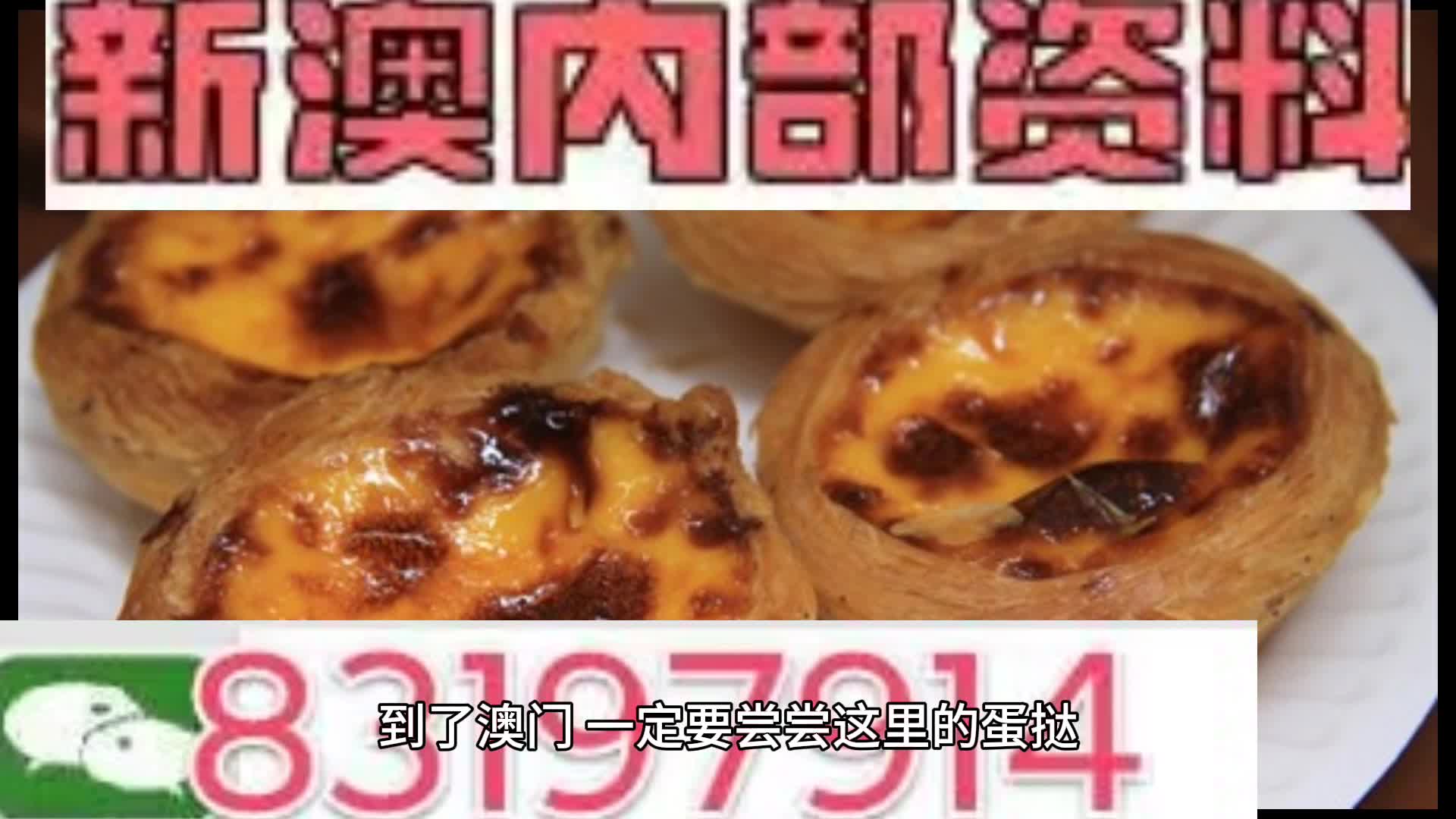新澳門資料大全正版資料與奧利奧斗地主，一網(wǎng)打盡，澳門正版資料與奧利奧斗地主，一網(wǎng)打盡攻略