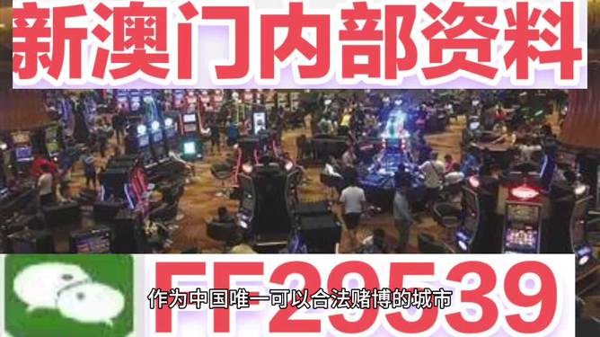 今晚澳門開獎號碼結(jié)果是多少號，澳門今晚開獎號碼結(jié)果揭曉