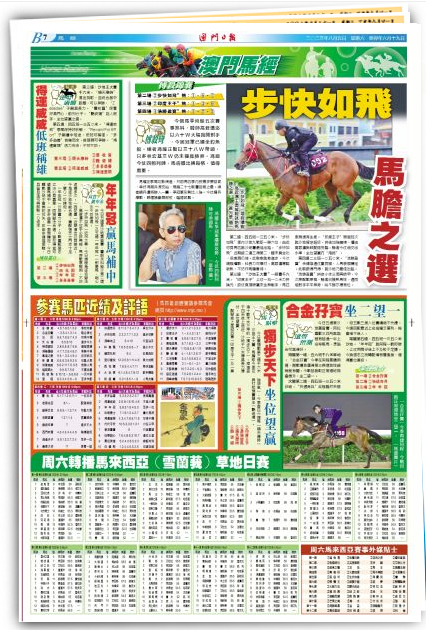 十年探索，馬會(huì)傳真澳門免費(fèi)資料與金馬的開啟之旅，十年探索成果，馬會(huì)傳真澳門免費(fèi)資料與金馬開啟之旅