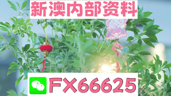 新澳好彩免費(fèi)資料查詢背后的故事，水果奶奶醉八仙，新澳好彩免費(fèi)資料查詢背后的故事，水果奶奶的八仙醉傳奇