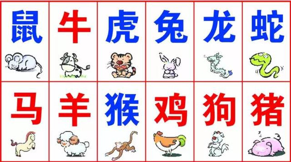 2021年香港1期到153期生肖歇后語，香港生肖歇后語精選，從2021年第一期到第一百五十三期的語言精粹