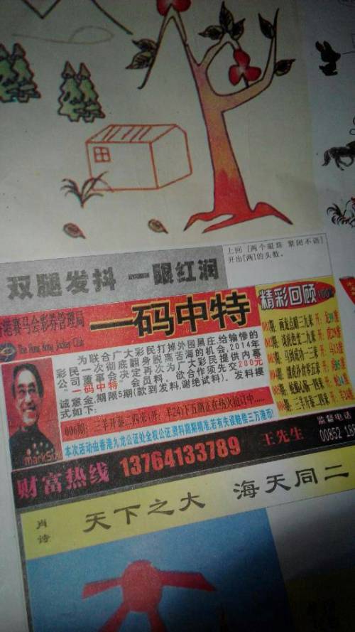 精準(zhǔn)王中王猜詩一肖，精準(zhǔn)猜詩高手揭秘，王中王猜詩揭秘生肖之謎
