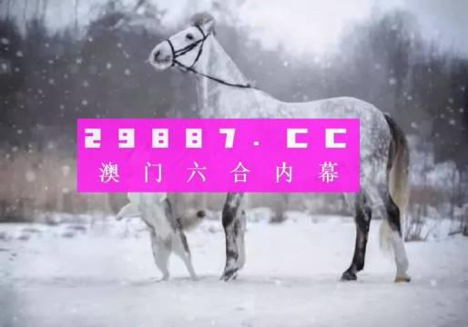 澳門一肖一碼一待一中詳情揭秘，澳門一肖一碼一待一中揭秘，真相大揭秘