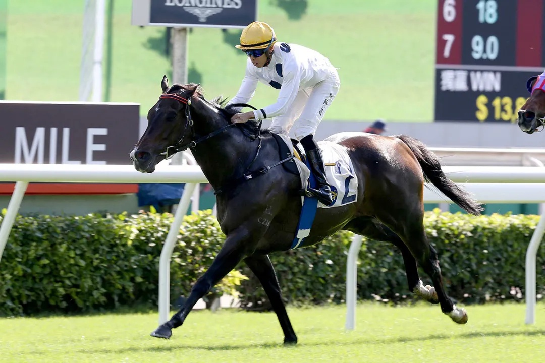 澳門王馬王中王資料米糖，澳門王馬王中王米糖資料解析