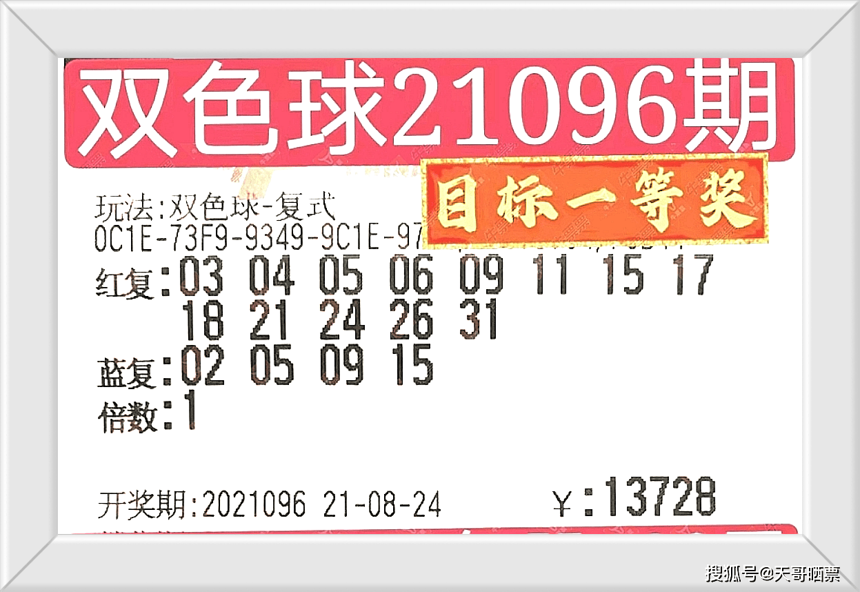 2025澳門特馬今晚開什么碼，澳門今晚特馬開碼結(jié)果預(yù)測(cè)分析