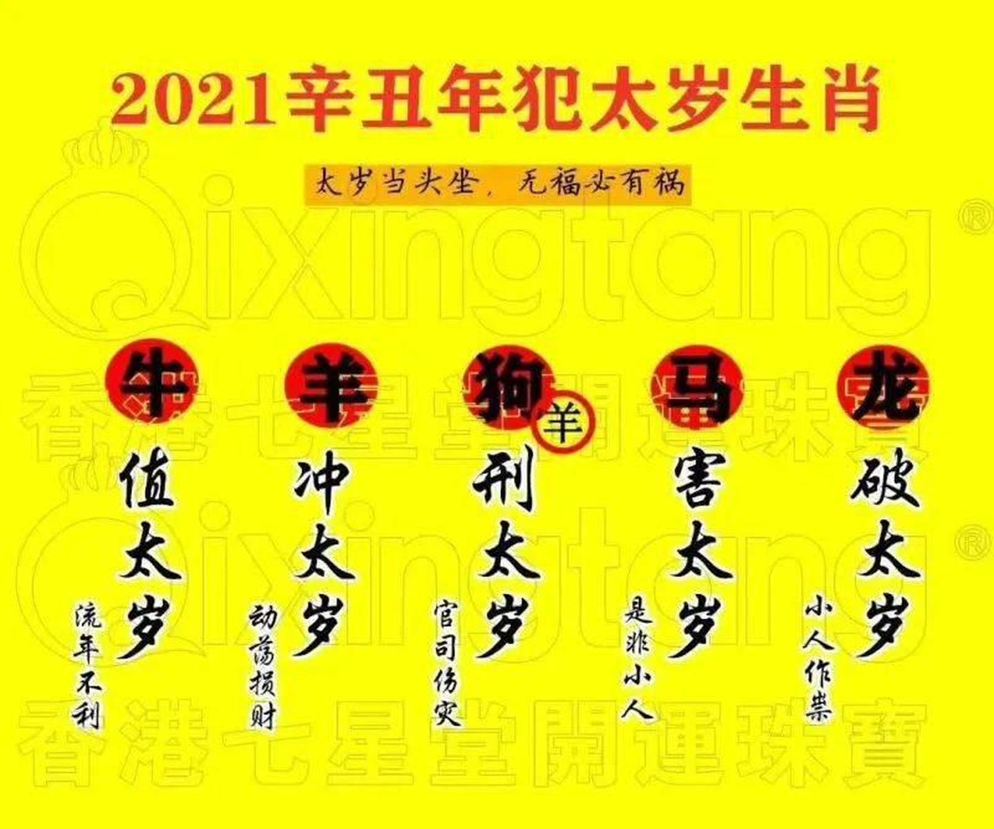 WW777766香港馬會總綱，探索賽馬運動的魅力與精髓，WW777766香港馬會總綱，賽馬運動的魅力與精髓探索