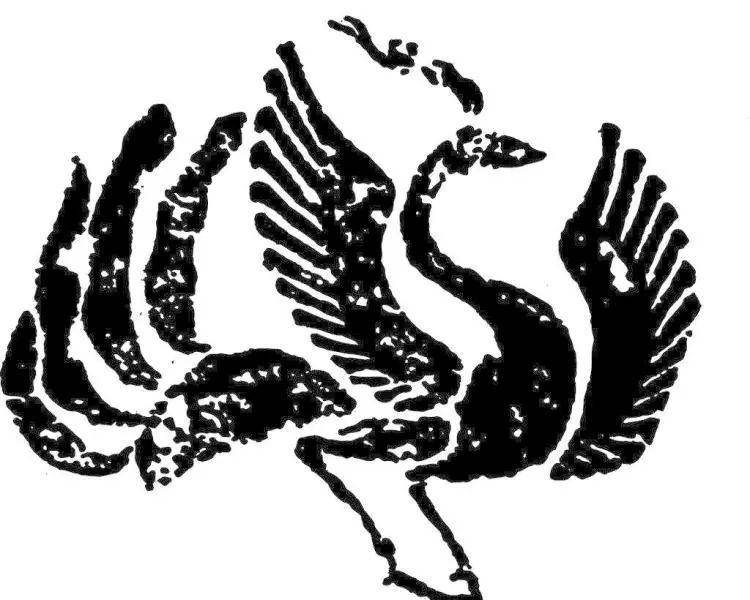 081987鳳凰論壇(一句解特)，081987鳳凰論壇，獨(dú)特解析揭秘