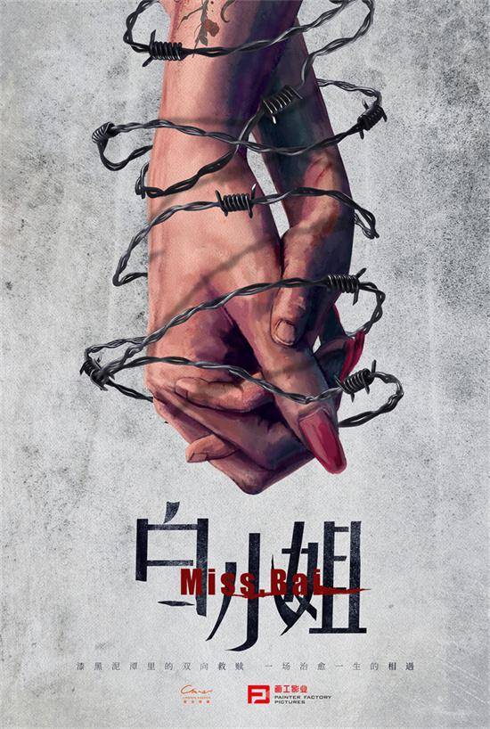 白小姐資料大全正版，白小姐資料大全正版匯總