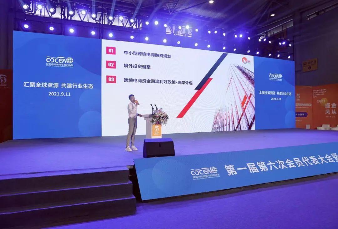 2021年香港馬資料大資料大全6解析與回顧，香港賽馬資料解析與回顧，2021年大資料大全回顧與解析