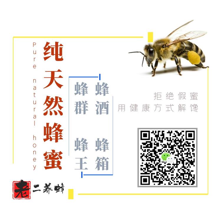 管家一肖一碼100中國土蜂蜜，管家一肖一碼推薦中國土蜂蜜，品質(zhì)純正有保障