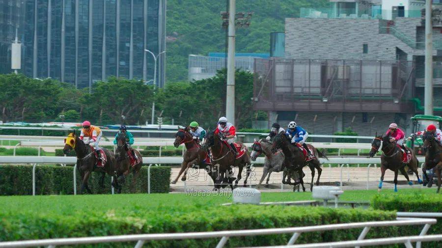 澳門賽馬會App，澳門賽馬會App介紹與體驗