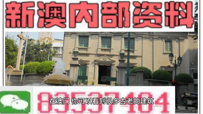 澳門免費(fèi)材料資料，澳門免費(fèi)材料資料大放送