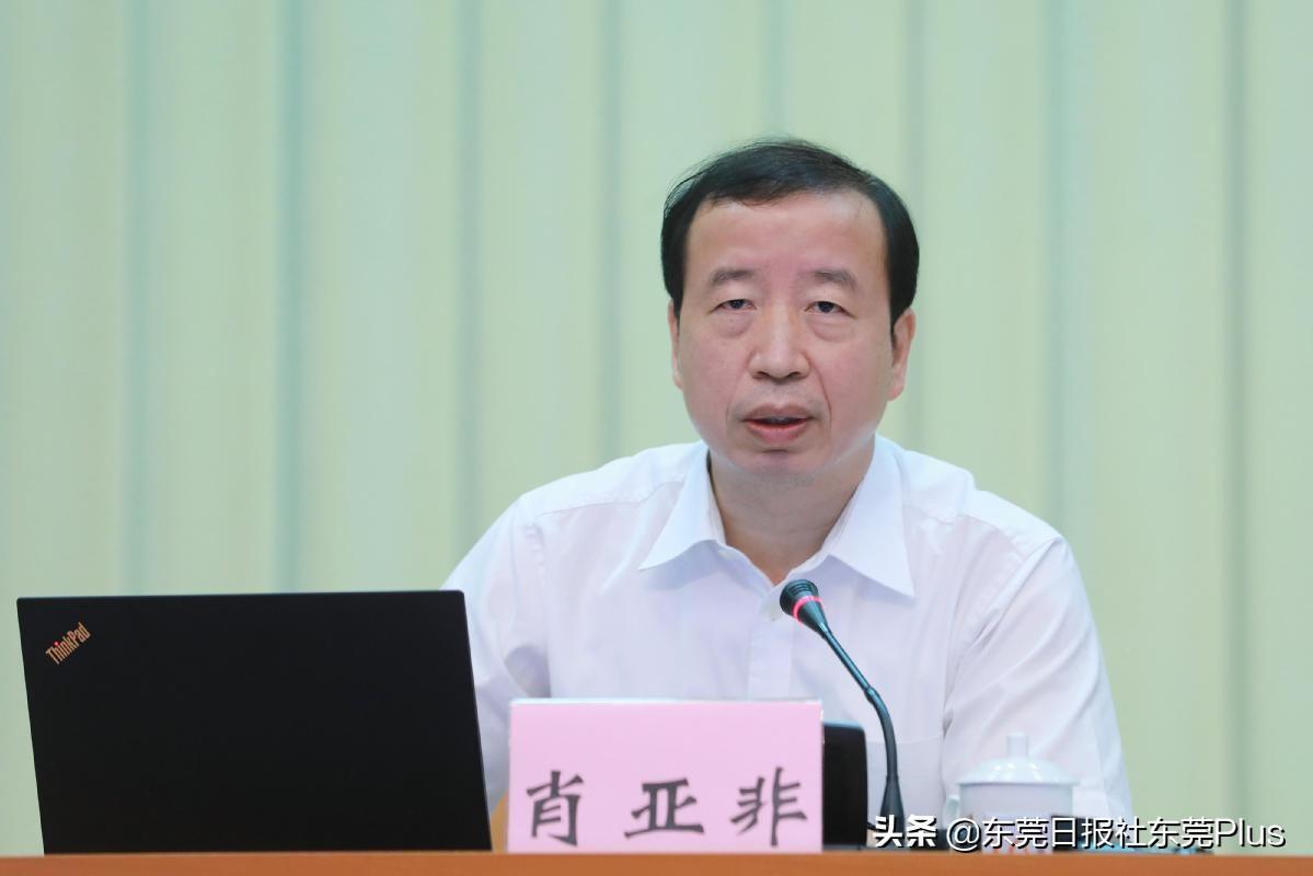2025年今晚跑馬圖，未來(lái)之夜的虛擬馳騁，未來(lái)之夜，2025年跑馬圖的虛擬馳騁
