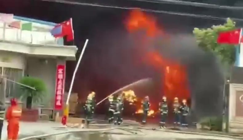 九龍九龍內(nèi)部資料大全揭秘，九龍九龍內(nèi)部資料大全深度揭秘