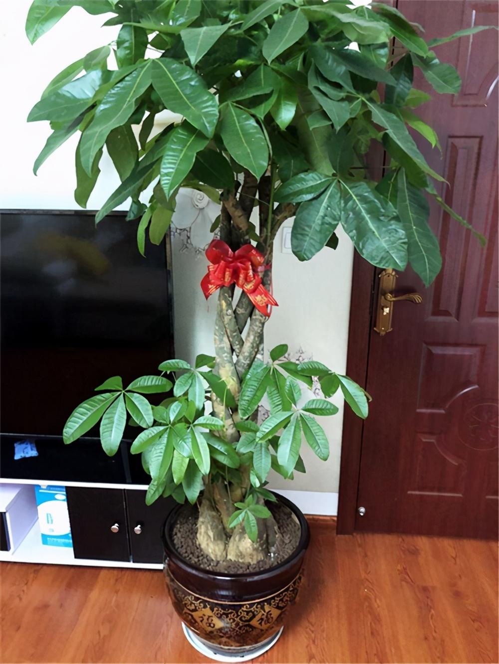 八方來財(cái)是什么生肖，八方來財(cái)對應(yīng)的生肖標(biāo)題，八方來財(cái)生肖揭秘，誰是財(cái)富吸引最強(qiáng)生肖？