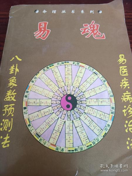 易魂新資料，易魂新資料概覽