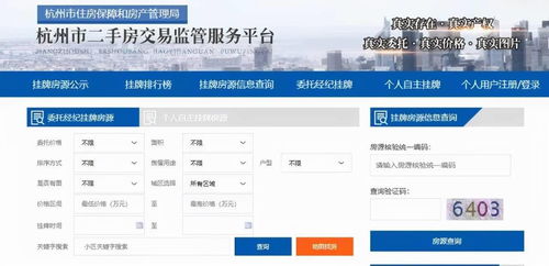 正版掛牌查歷史記錄，保障版權(quán)，追溯源頭，共建數(shù)字時代誠信生態(tài)，正版掛牌追溯源頭，共建數(shù)字時代誠信生態(tài)，查歷史記錄與版權(quán)保障行動啟動