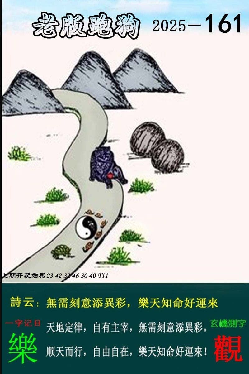 澳門新紀(jì)元，美麗的兔子躍動2025，澳門新紀(jì)元，兔子躍動迎2025