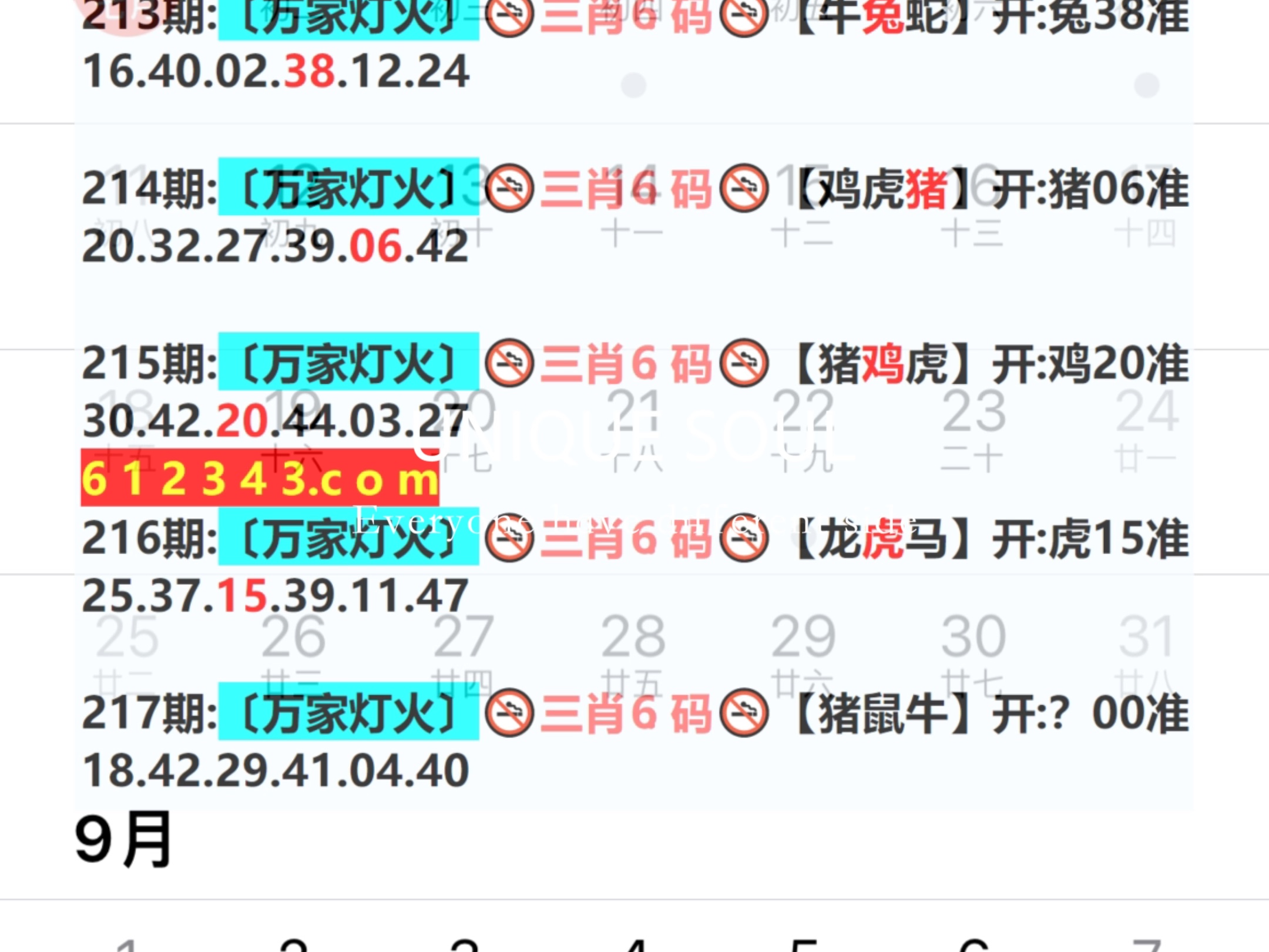 藍月亮四肖八碼精選大全，藍月亮四肖八碼精選總匯