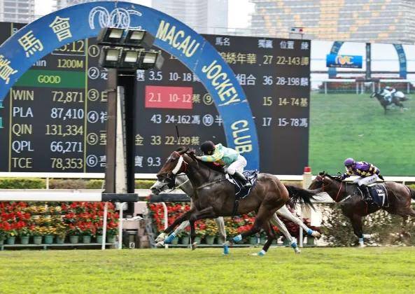 揭秘香港馬，7777788888背后的故事，揭秘香港賽馬背后的故事，數(shù)字組合77777與888888的神秘面紗