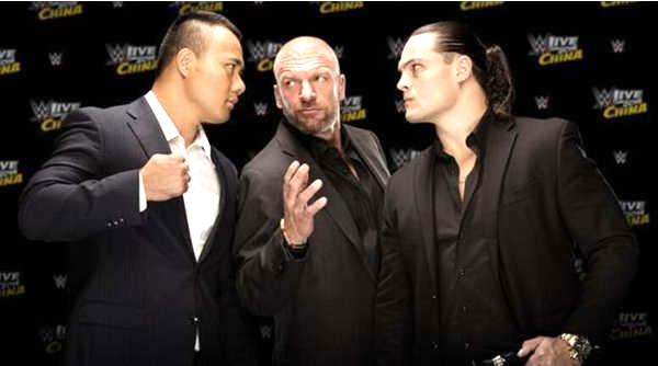 WWe免費資料大全，WWe免費資料大全全解析
