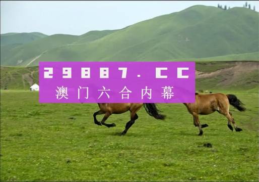 澳門天天彩期期精準龍門客棧，揭秘彩票背后的秘密，澳門天天彩期期精準揭秘，龍門客棧彩票背后的秘密探索