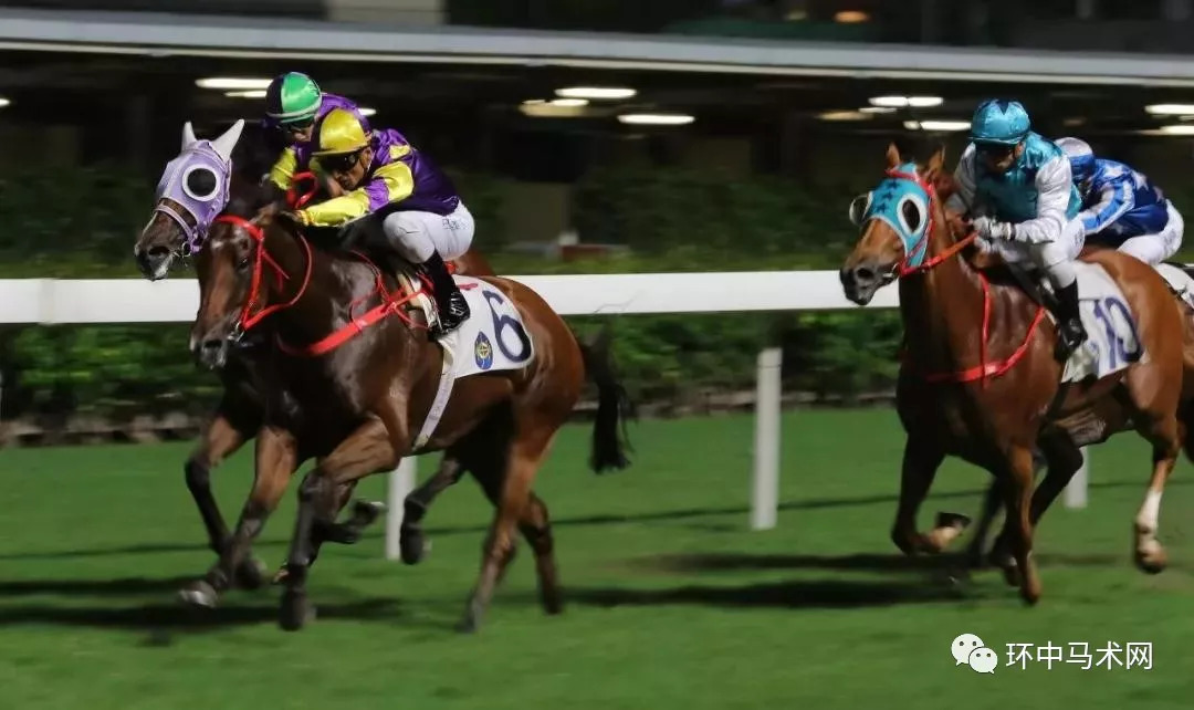 香港今晚特馬揭曉，期待與驚喜交織的時刻，香港今晚特馬揭曉，期待與驚喜的時刻