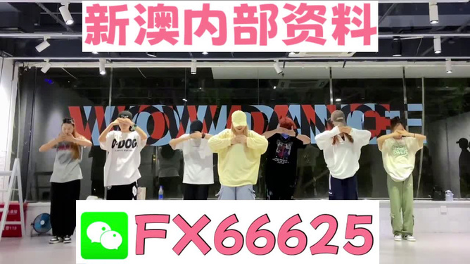 揭秘管家婆最準(zhǔn)一碼一肖的神秘面紗，揭秘管家婆最準(zhǔn)一碼一肖的秘密面紗