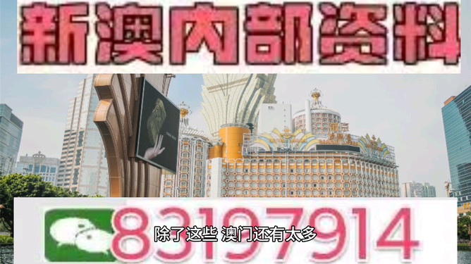 揭秘今晚澳門特馬開什么號(hào)碼，揭秘今晚澳門特馬開獎(jiǎng)號(hào)碼揭曉時(shí)刻