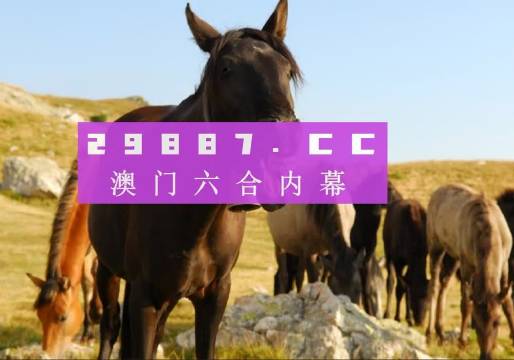 澳門管家婆一肖一碼，澳門管家婆精準(zhǔn)一肖一碼預(yù)測(cè)