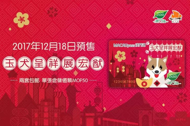 澳門正版資料大全資料生肖卡，澳門正版資料大全，生肖卡全收錄