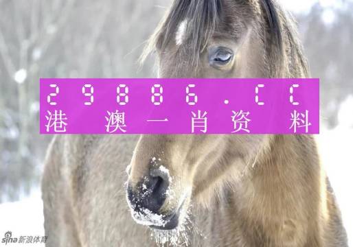澳門一肖一碼百分百精準(zhǔn)秘籍，澳門一肖一碼精準(zhǔn)秘籍揭秘