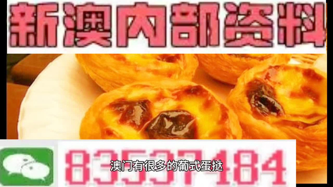 新澳最新版精準特，探索前沿科技的魅力，新澳最新版精準特，前沿科技魅力探索