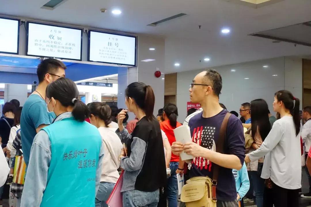 新門內(nèi)部資料大全免費(fèi)查詢，新門內(nèi)部資料免費(fèi)查詢指南