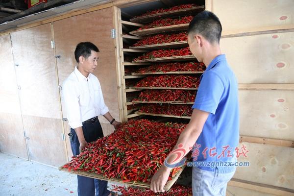 王中王100%免費(fèi)資料大全，一網(wǎng)打盡各類資源，王中王免費(fèi)資料大全，一網(wǎng)打盡所有資源