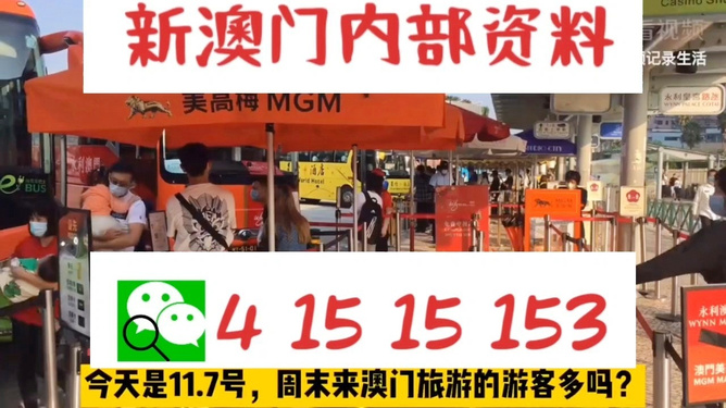 免費澳門內(nèi)部開一碼，揭秘與探索，澳門內(nèi)部一碼揭秘，免費開啟探索之旅